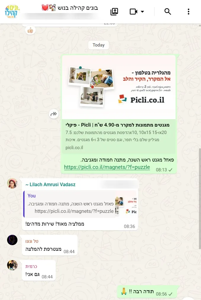 צילום מקבוצת הוואטסאפ: לילך כותבת "ממליצה מאוד! שירות מדהים!" בתגובה לפוסט על פאזל מגנט לראש השנה